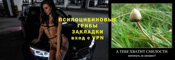 прущая мука Переславль-Залесский