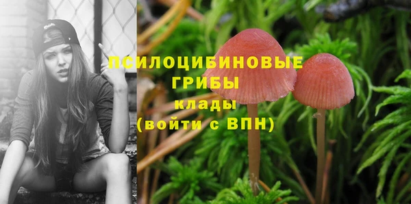 бутират Алексеевка
