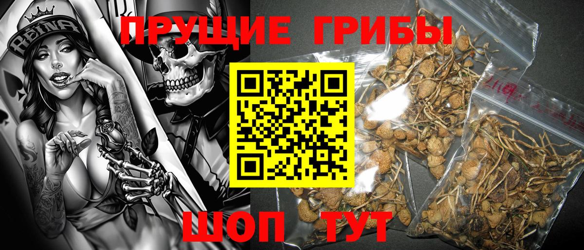Лянтор  Галлюциногенные грибы Psilocybine cubensis  Вход с VPN  хочу   Галлюциногенные грибы MAGIC MUSHROOMS 